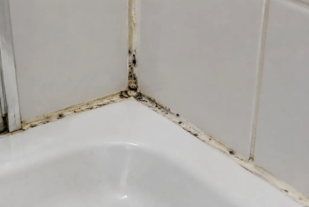 Kitbedrijf Bennekom – beschimmelde kitranden